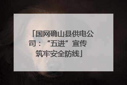 国网确山县供电公司：“五进”宣传 筑牢安全防线